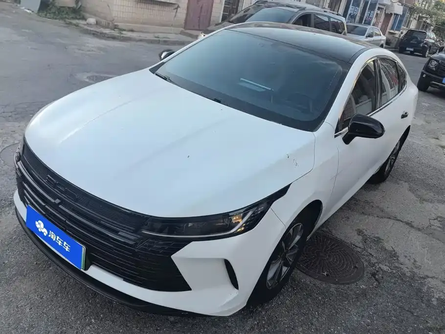 BYD Destroyer 05 Glory Edition DM-i 55KM Luxury 2024
