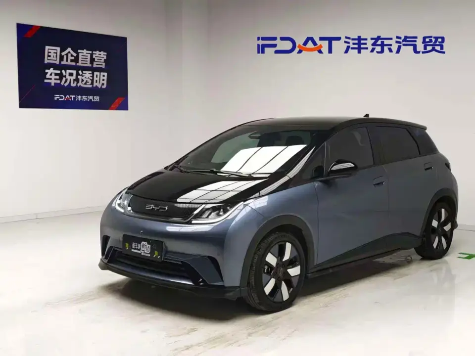 BYD Dolphin 401km Knight Edition 2023