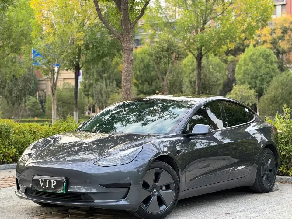 Tesla Model 3 Standard Range Rear-Wheel Drive Upgrade 2021