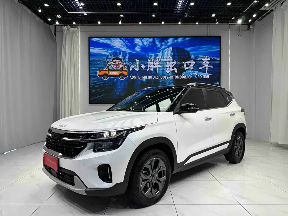 Kia Seltos 1.5L CVT Luxury Edition 2024
