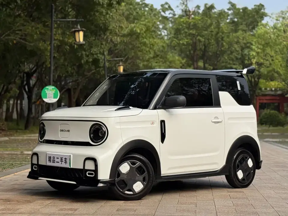 Geely Galaxy Panda Model Year 210km Panda Kart 2025