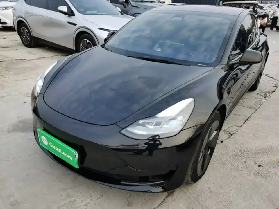 Tesla Model 3 Facelift Standard Range RWD Upgrade 3D1 2021