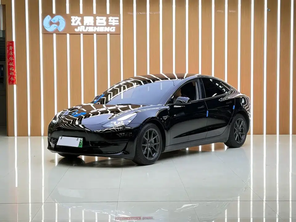 Tesla Model 3 Model Rear-Wheel Drive Version 2023