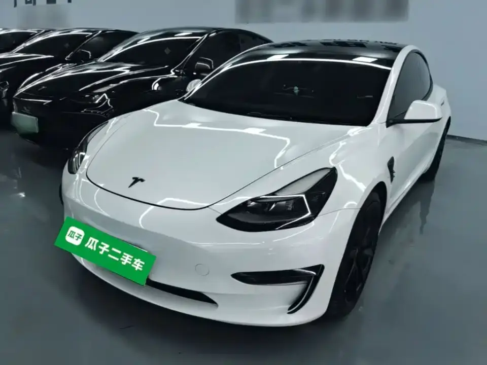 Tesla Model 3 Performance High-Performance All-Wheel Drive 3D6 2021