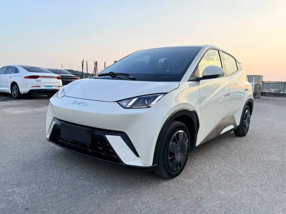 BYD Seagull Glory Edition 305km Vitality Edition 2025