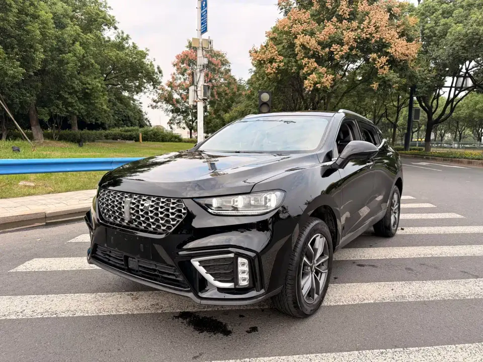 Wey VV5 1.5T 2WD Trend Pioneer 2021