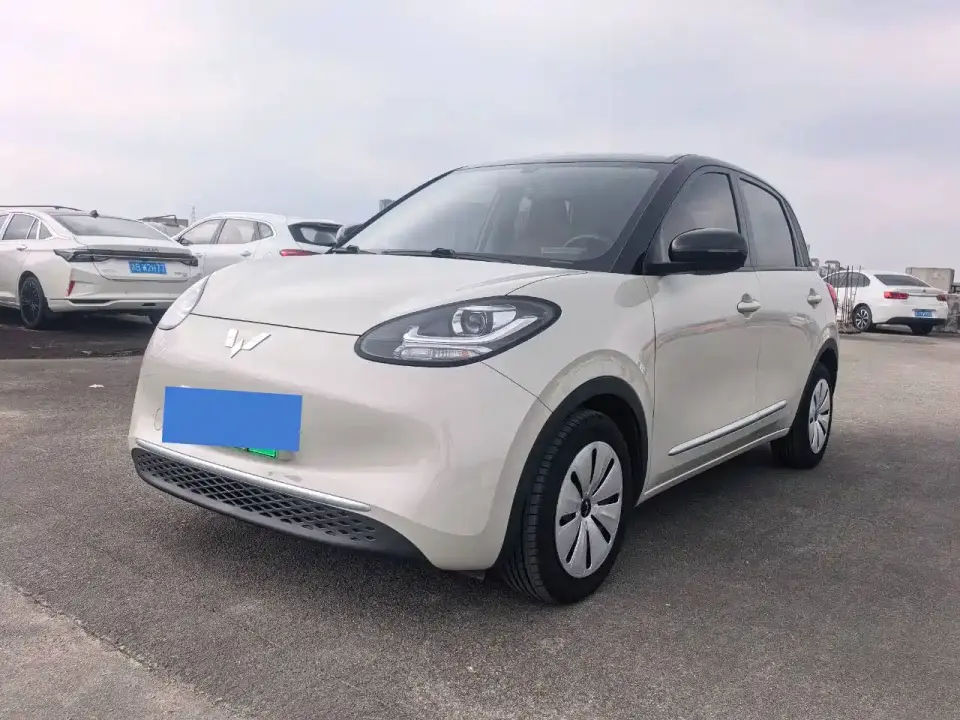 Wuling Motors Wuling Bingo 203km Lite Edition 2024