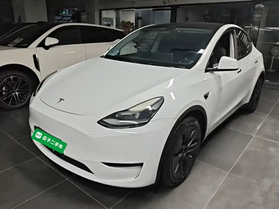 Tesla Model Y Long Range All-Wheel Drive 3D7 2021