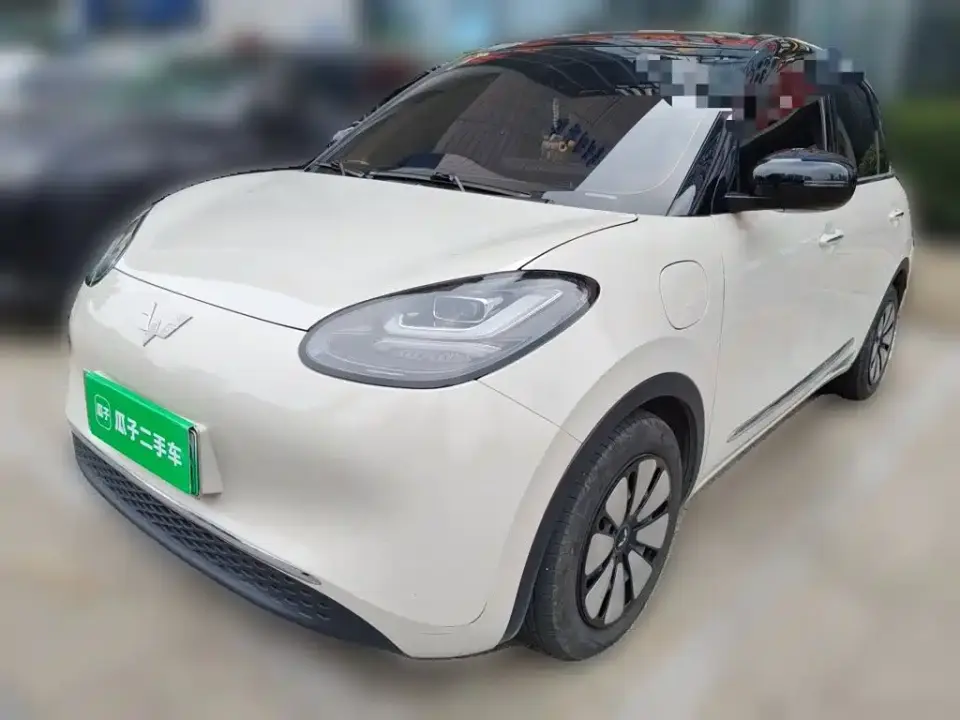 Wuling Motors Wuling Bingo Model 333km Joy+ Version 2024