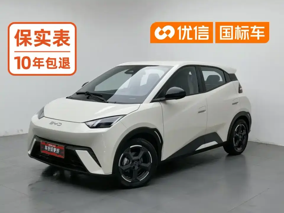 BYD Seagull Flying Edition 2023