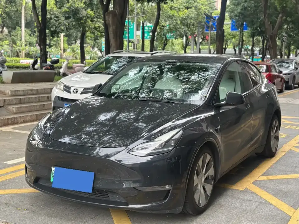 Tesla Model Y Standard Range Rear-Wheel Drive 2021