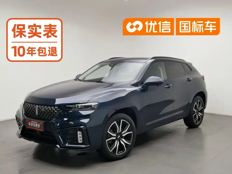 Wey VV7 Model 2.0T Technology Edition 2021