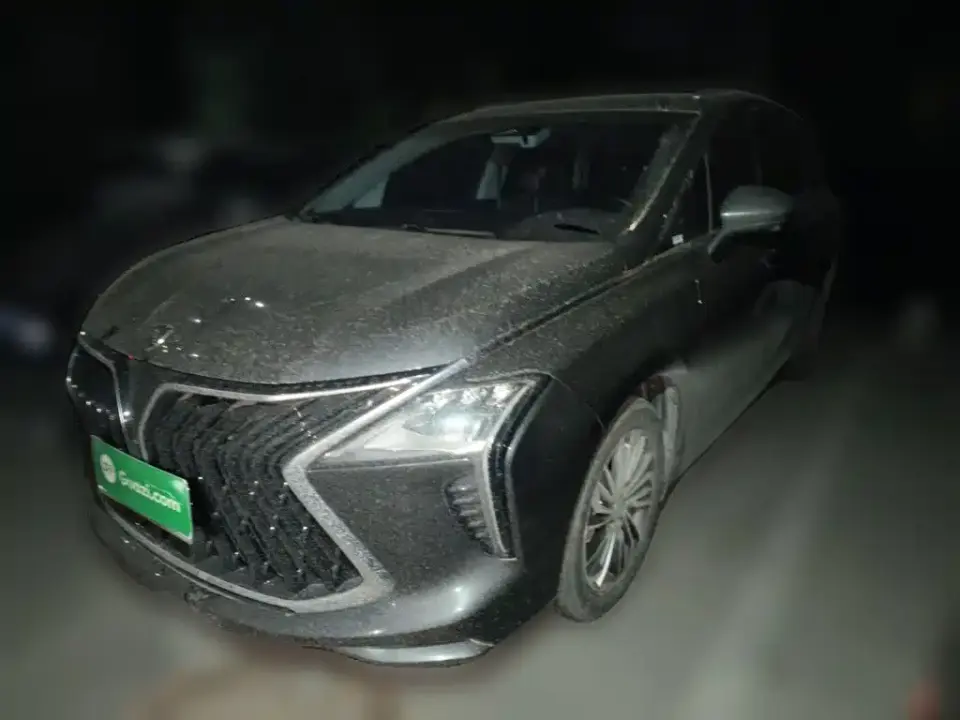 Dongfeng Fengxing Fengxing Yacht 1.5T DCT Ocean View Edition 2024