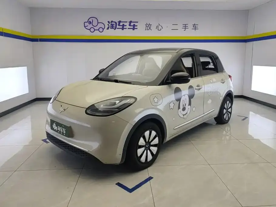 Wuling Motors Wuling Bingo 333km Comfort Edition 2024