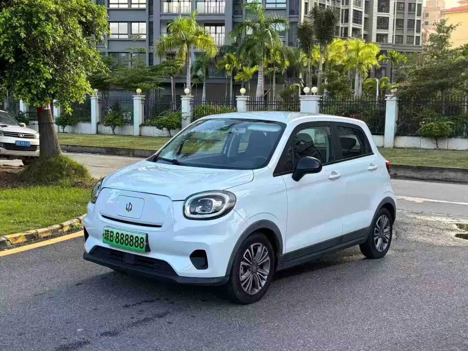 Leapmotor T03 400 Luxury Edition 2021