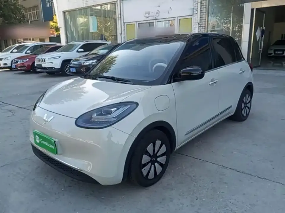Wuling Motors Wuling Bingo 333km Smart Connect Edition 2024