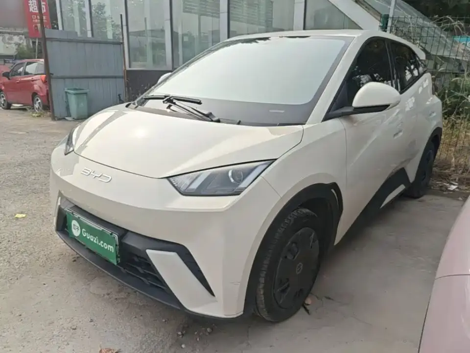 BYD Seagull Vitality Edition 2024