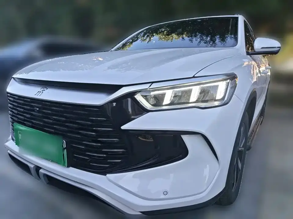 BYD Song Pro New Energy Glory Edition DM-i 71KM Pilot 2024