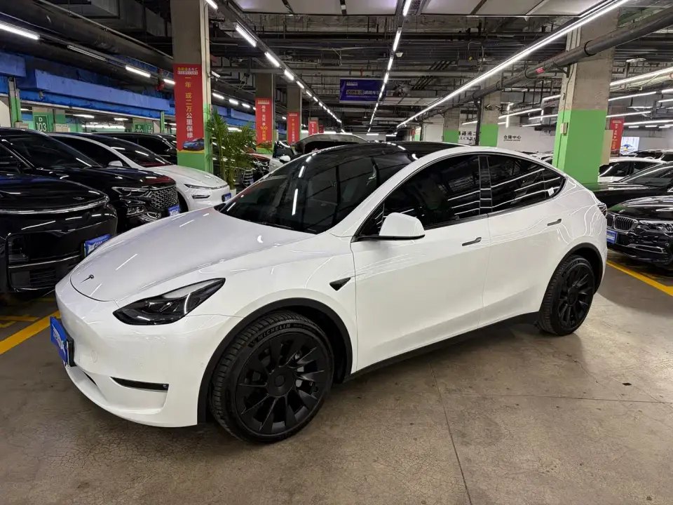 Tesla Model Y Long Range All-Wheel Drive 3D7 2021