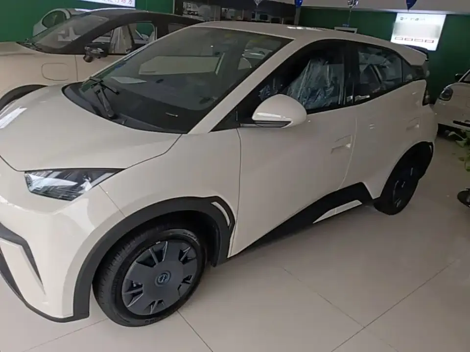 BYD Seagull 305km Vitality 2025
