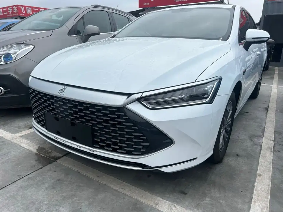 BYD Qin PLUS Glory Edition DM-i 55KM Leading 2024