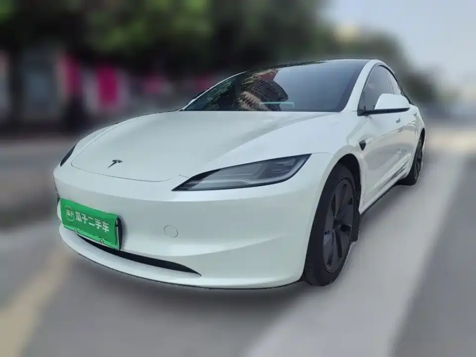 Tesla Model 3 Model Rear-Wheel Drive Edition 2025