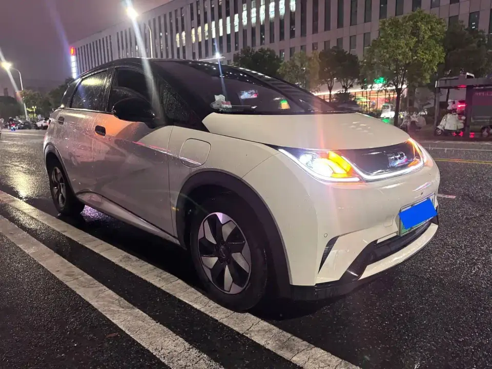 BYD Dolphin Glory Edition 420km Fashion Edition 2024