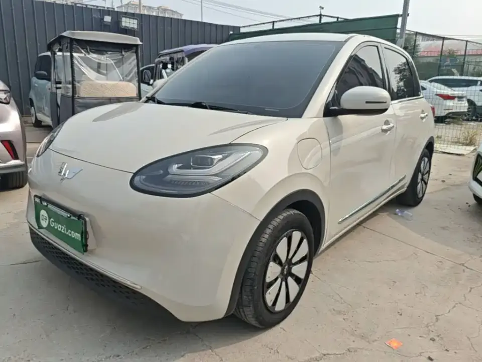 Wuling Motors Wuling Bingo 333km Comfort Edition 2024
