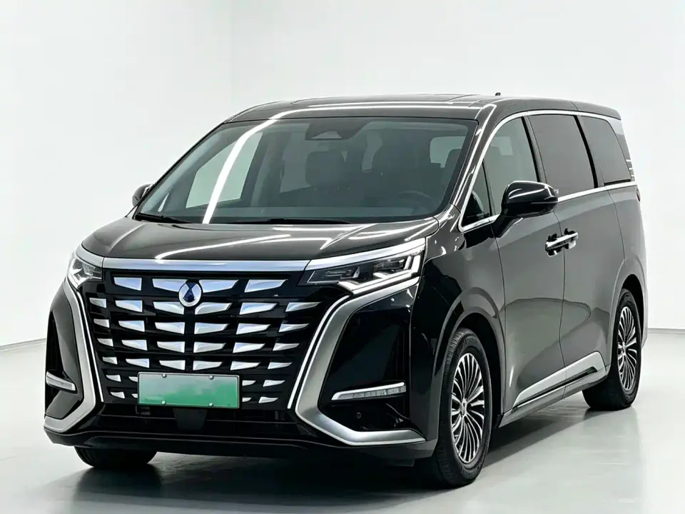 Denza D9 DM-i 1050 Premium 2024