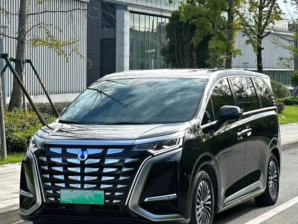 Denza D9 DM-i 1050 Premium 2024