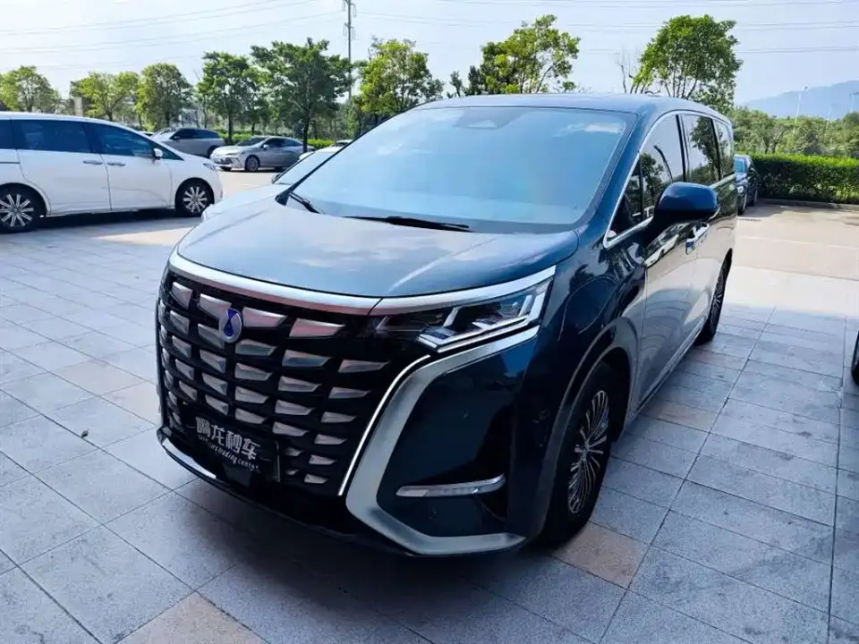Denza D9 DM-i 970 AWD Flagship 2024