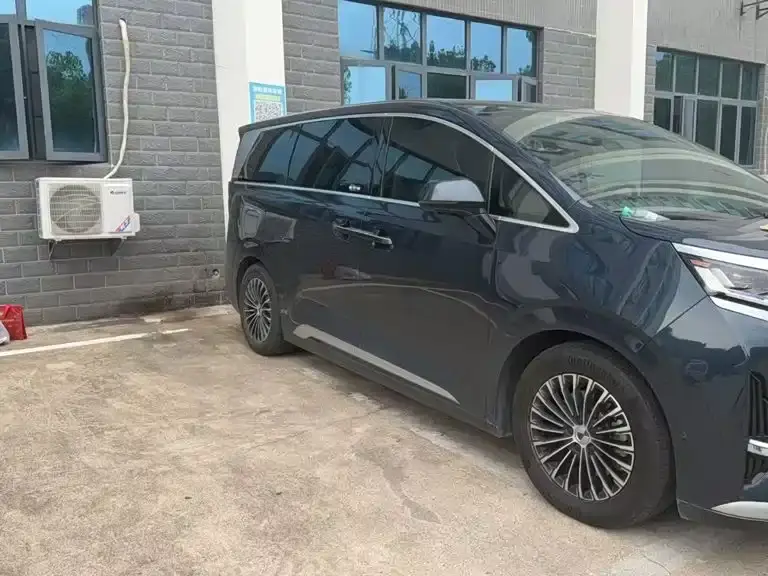 Denza D9 DM-i 970 AWD Flagship 2023