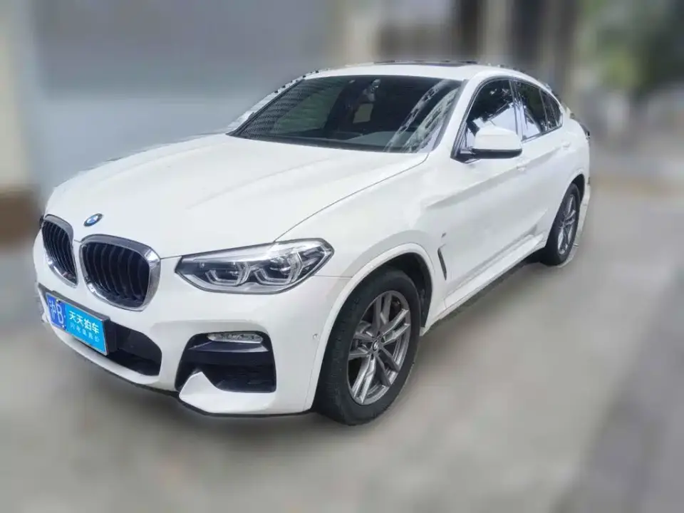 BMW X4 xDrive25i M Sport Package 2019