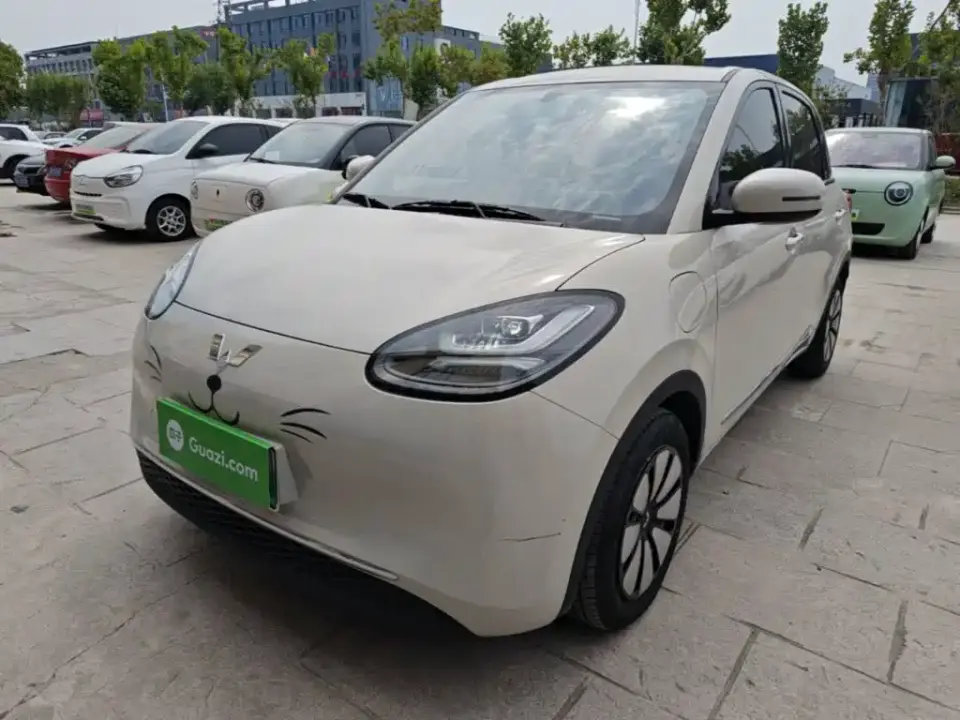 Wuling Motors Wuling Bingo 333km Comfort Edition 2024
