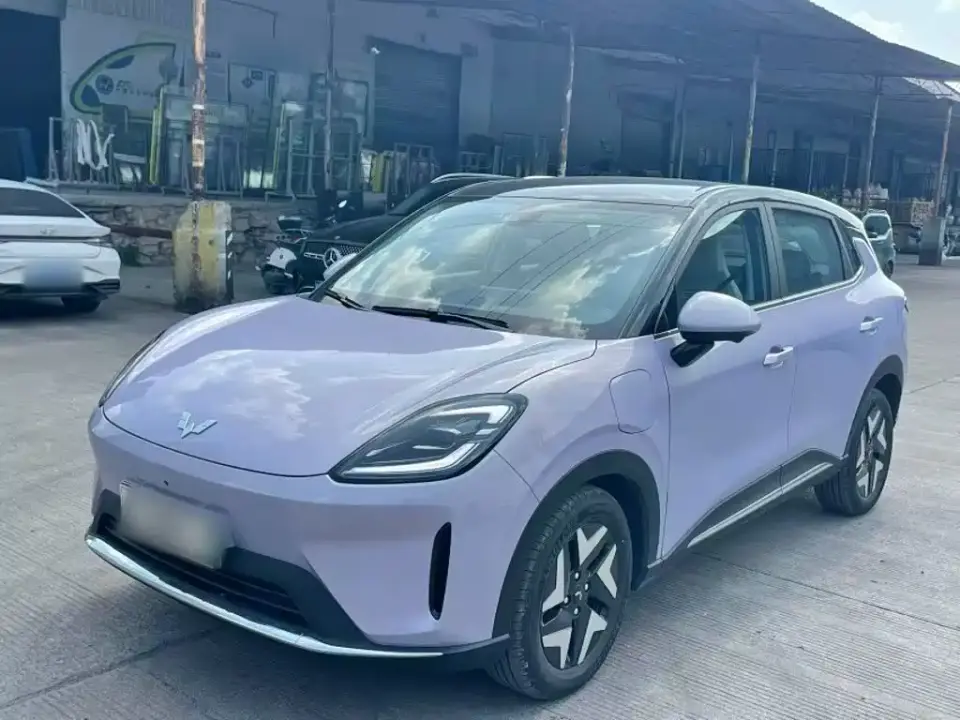Wuling Motors Wuling Bingo S Model 325km Flagship Edition 2025