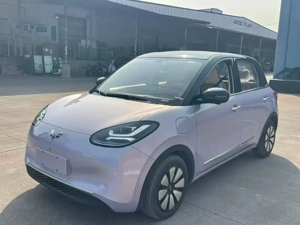Wuling Motors Wuling Bingo Model 333km Smart Premium 2025