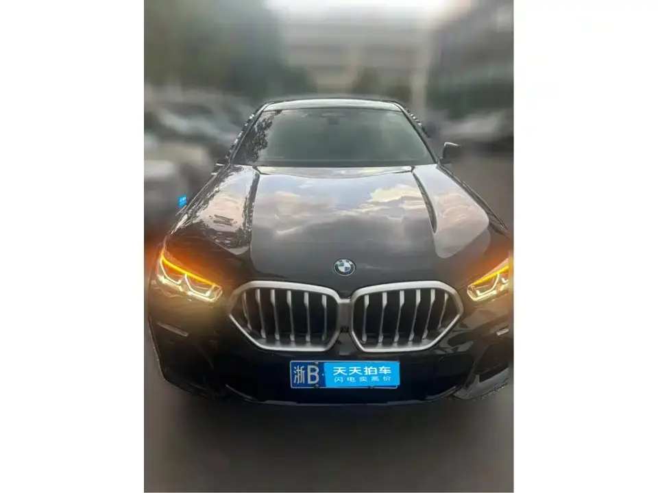 BMW X6 xDrive40i Exclusive M Sport Package 2021