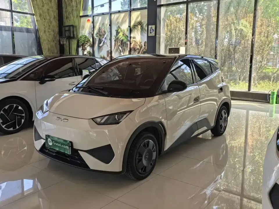 BYD Seagull Smart Drive Edition 305km Vitality Version 2025