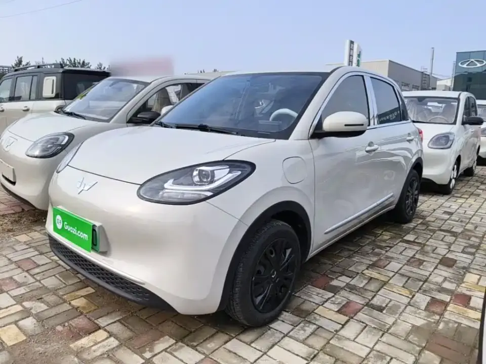 Wuling Motors Wuling Bingo 203km Lite Edition 2024
