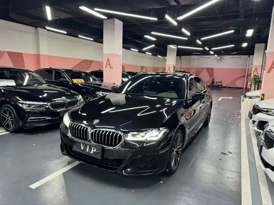BMW 5 Series 530Li Leading M Sport Package 2021