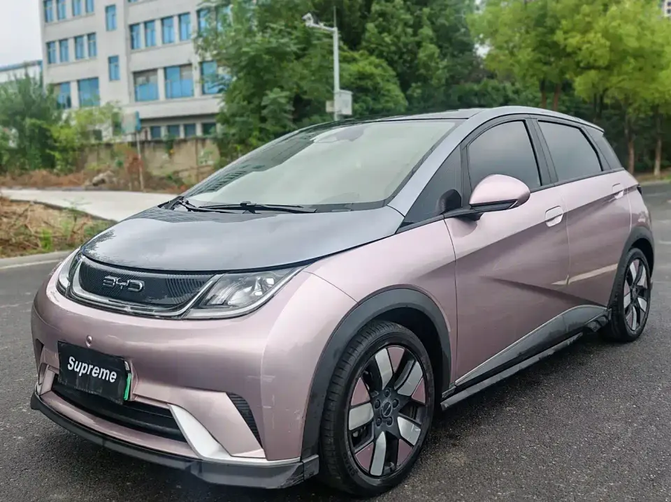 BYD Dolphin 401km Knight Edition 2022