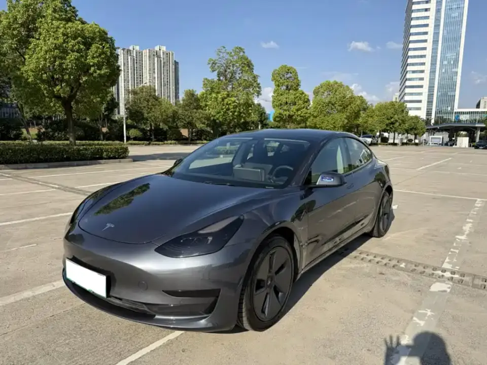 Tesla Model 3 Standard Range Rear-Wheel Drive Upgrade 3D6 2021