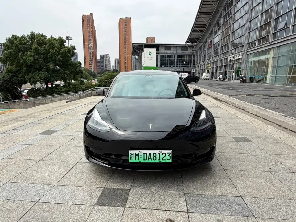 Tesla Model 3 Standard Range Rear-Wheel Drive Upgrade 2021