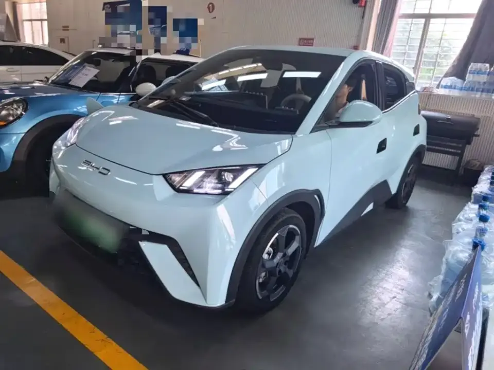 BYD Seagull Freedom Edition 2024