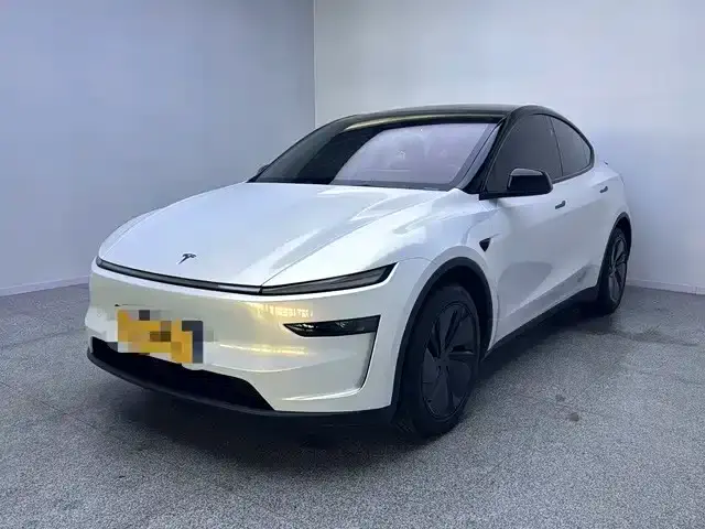 Tesla Model Y Rear-Wheel Drive 2025