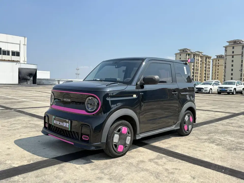 Geely Galaxy Panda Panda mini 200km Endurance Bear 2024