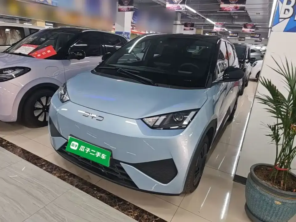 BYD Seagull Smart Drive Edition 305km Vitality Version 2025