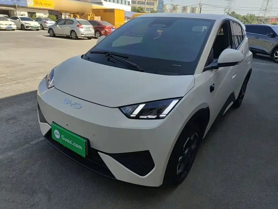 BYD Seagull Smart Drive Edition 305km Freedom Version 2025