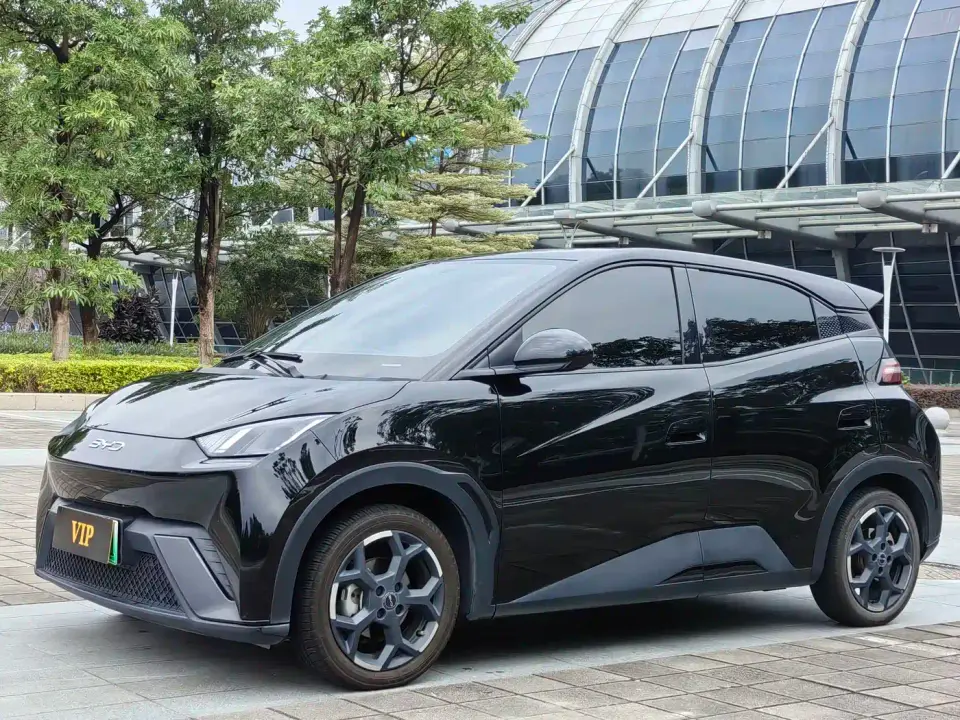 BYD Seagull Flying Edition 2025