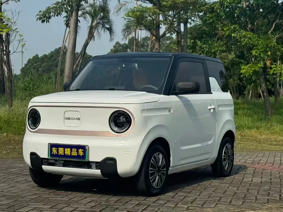 Geely Galaxy Panda Panda Mini 200km Endurance Bear 2023